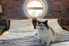 348588881_18226820929234037_5612048280409178881_n